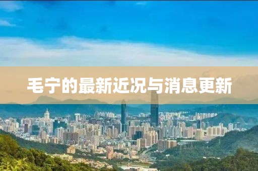 毛寧的最新近況與消息更新