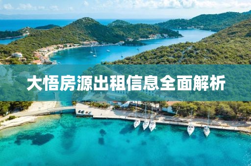 大悟房源出租信息全面解析