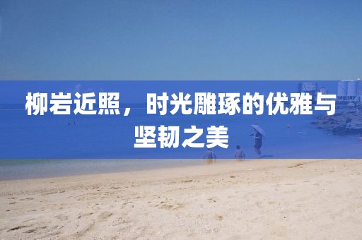 柳巖近照，時光雕琢的優(yōu)雅與堅韌之美