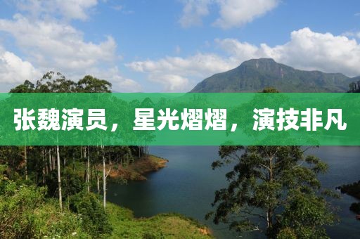 張魏演員，星光熠熠，演技非凡