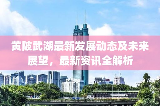 黃陂武湖最新發(fā)展動態(tài)及未來展望，最新資訊全解析