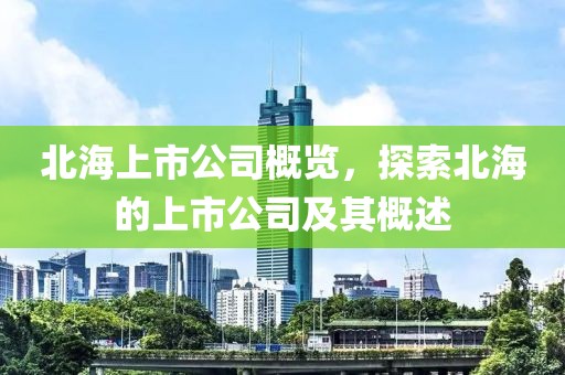 北海上市公司概覽，探索北海的上市公司及其概述