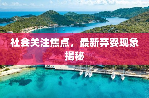 社會(huì)關(guān)注焦點(diǎn)，最新棄嬰現(xiàn)象揭秘