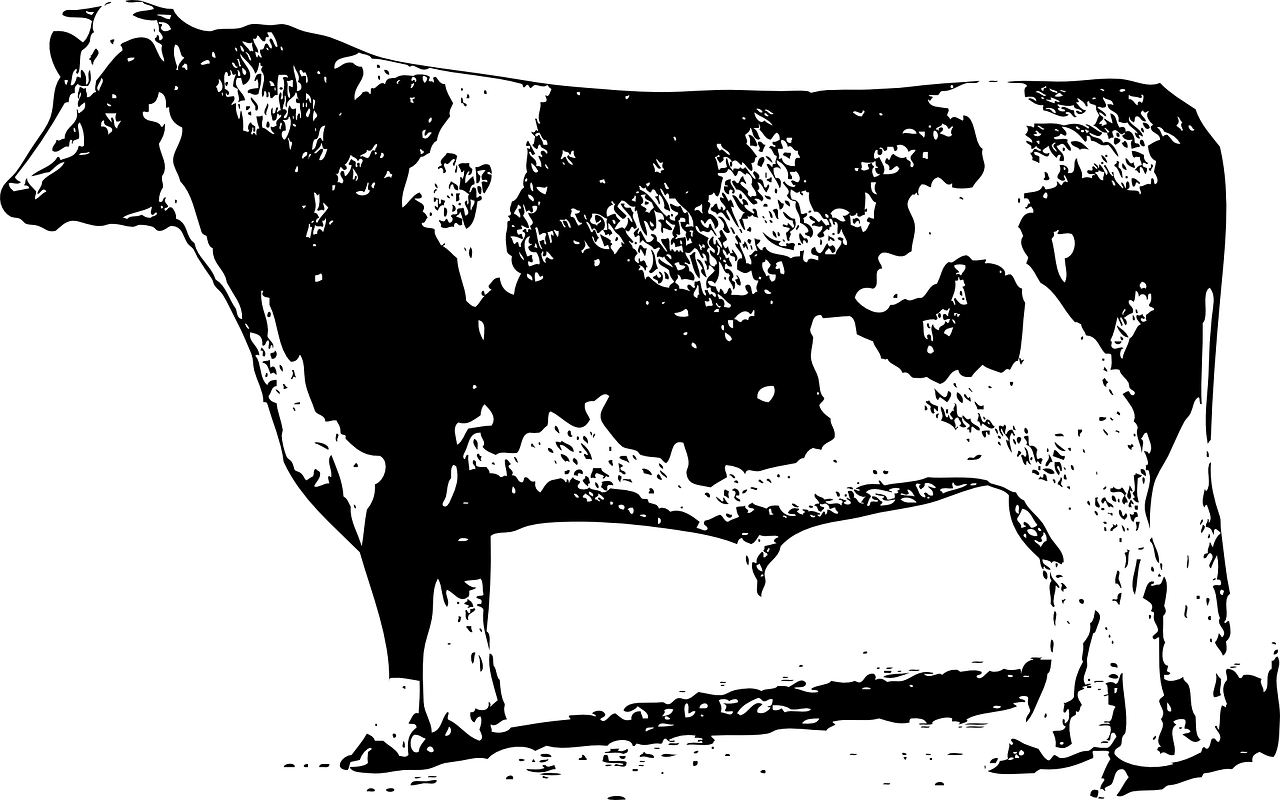中合三農(nóng)集團(tuán)引領(lǐng)農(nóng)業(yè)產(chǎn)業(yè)變革，共創(chuàng)鄉(xiāng)村振興新篇章的最新動(dòng)態(tài),或者中合三農(nóng)集團(tuán)，鄉(xiāng)村振興的先鋒，最新動(dòng)態(tài)引領(lǐng)農(nóng)業(yè)創(chuàng)新