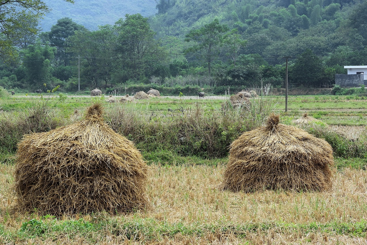 思瑞浦動(dòng)態(tài)，科技創(chuàng)新的先鋒引領(lǐng)者