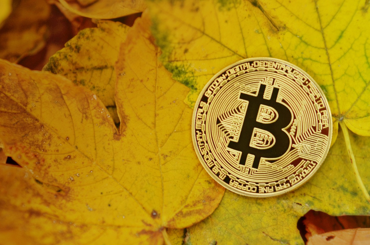 BTC今日價格動態(tài)，市場走勢、影響因素及未來展望分析