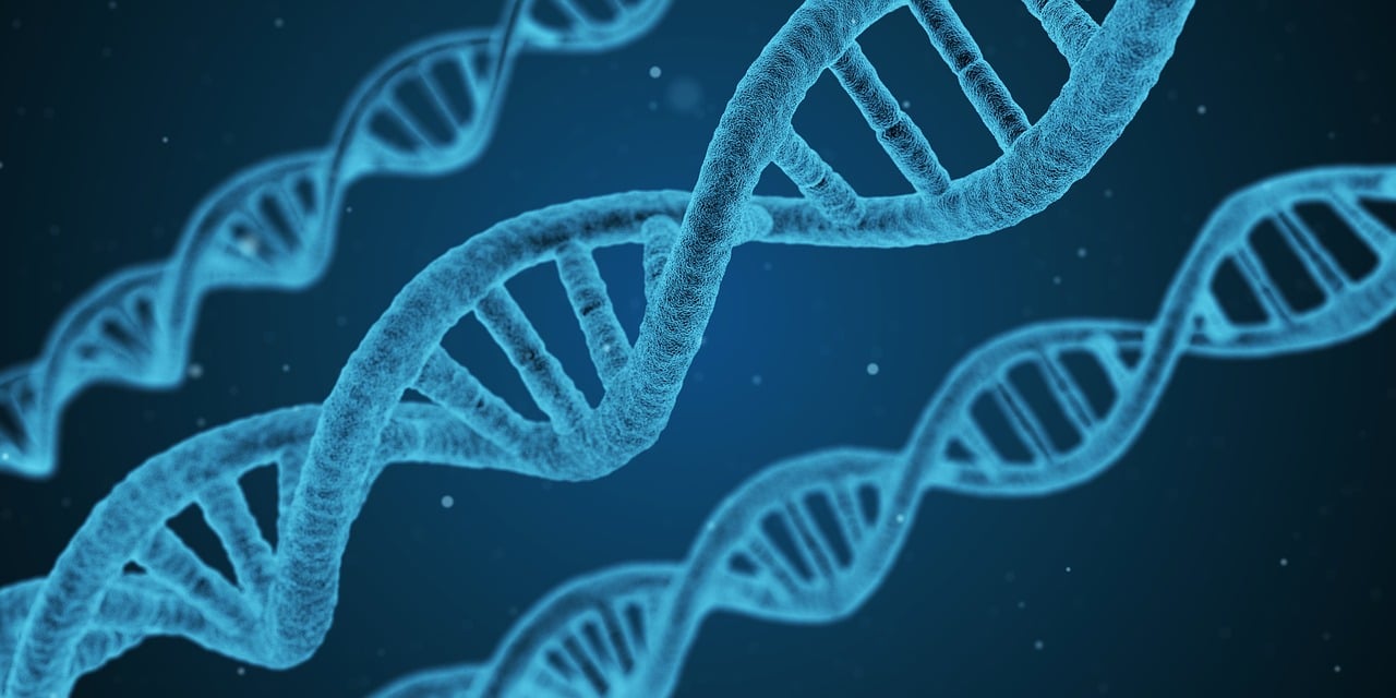 三諾生物引領(lǐng)生物科技，塑造健康未來最新資訊