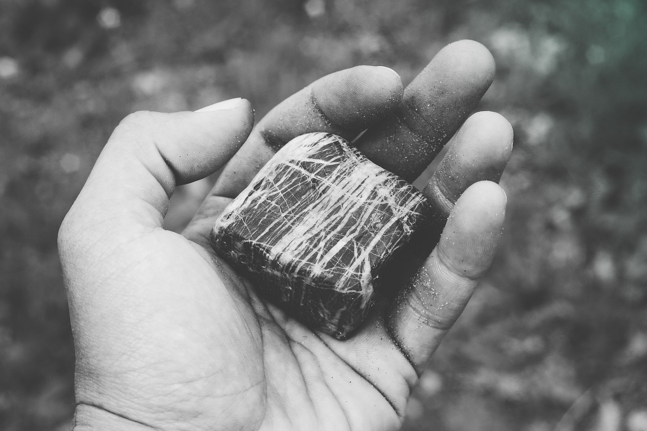 多囊腎病新進(jìn)展，突破與挑戰(zhàn)的未來探索之路