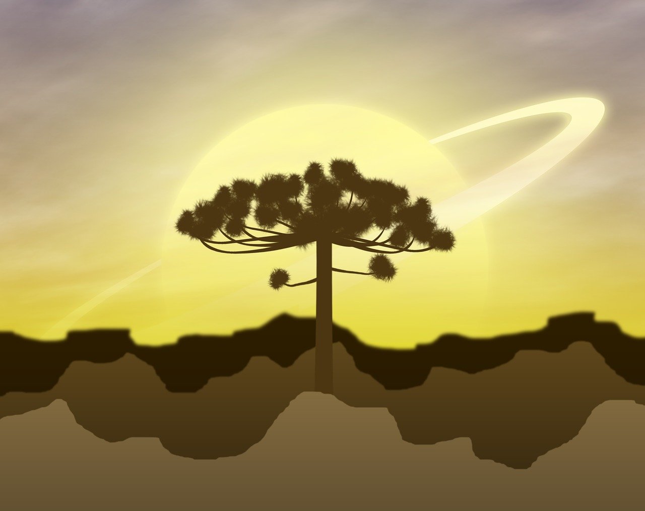 白熊動漫，奇幻之旅，探索魅力世界的無限魅力
