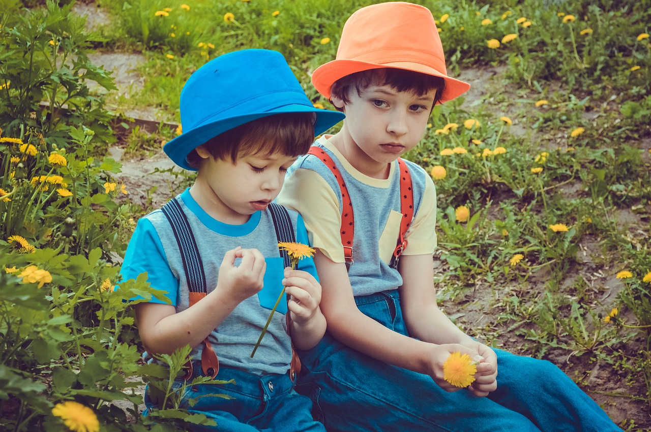 幼兒朗誦比賽，播種夢(mèng)想，見證成長(zhǎng)之路