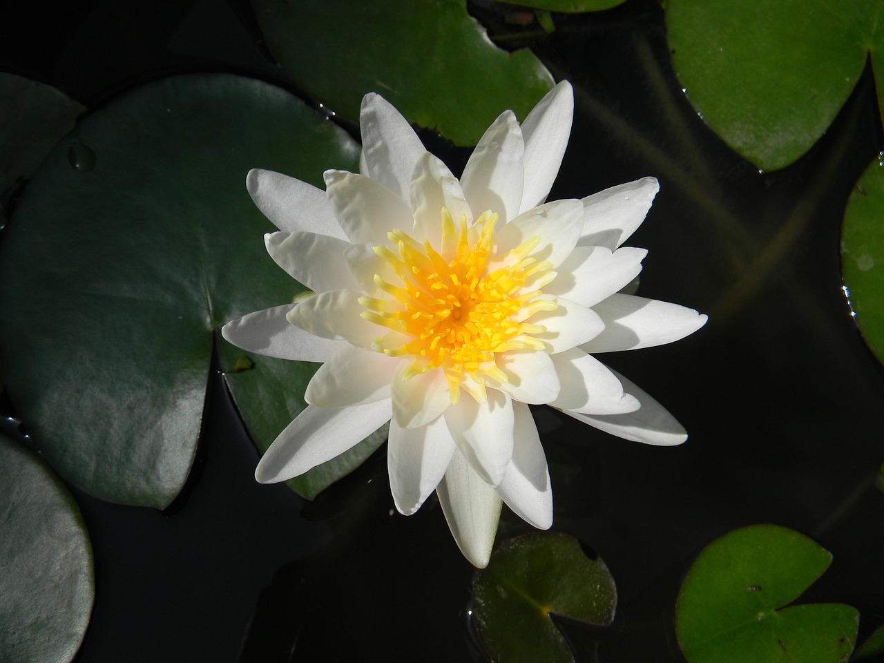 揭秘，引領(lǐng)未來海戰(zhàn)的新時(shí)代戰(zhàn)艦——055最新動(dòng)態(tài)