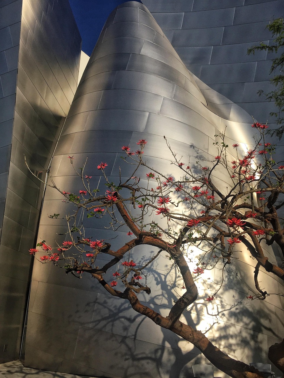 楊金柱最新動(dòng)態(tài)，新旅程啟程，未來展望揭曉