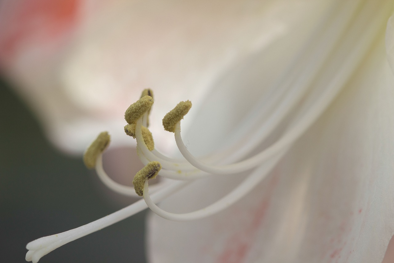 情感深處糾葛與變化的探索，入骨纏最新解析