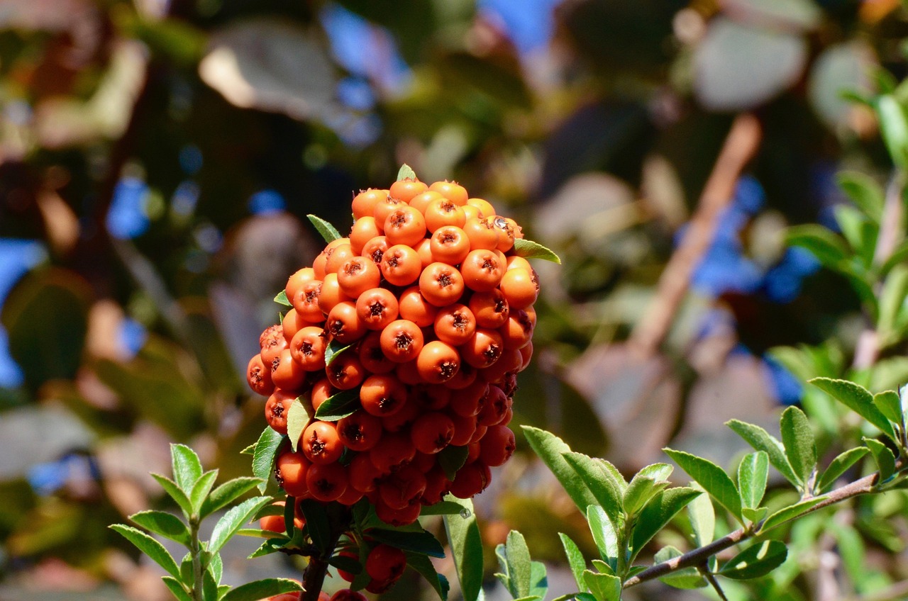 綠豆紅豆，人性掙扎與成長的深刻展現(xiàn)