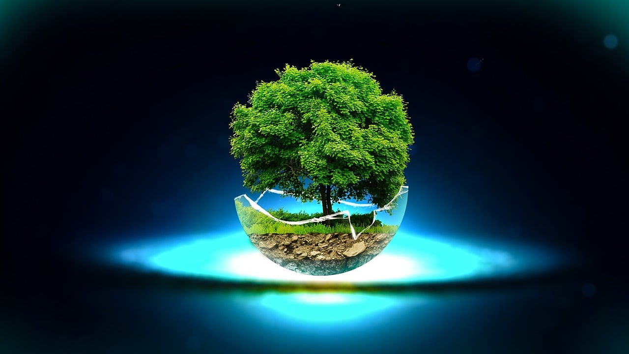深圳啟明星，璀璨之星照亮未來(lái)之路
