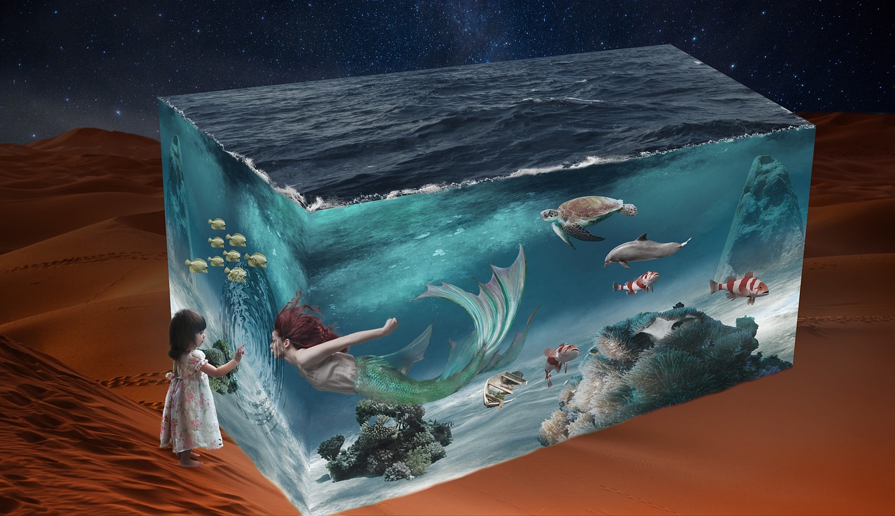 海洋奇幻之旅，魚(yú)與動(dòng)漫的夢(mèng)幻交融