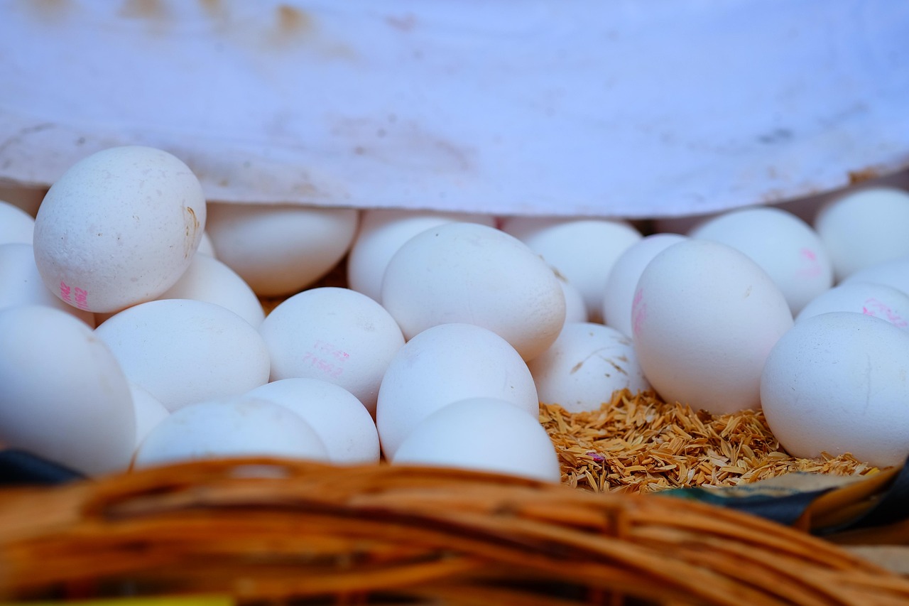 磷礦石最新價(jià)格動(dòng)態(tài)分析與趨勢預(yù)測