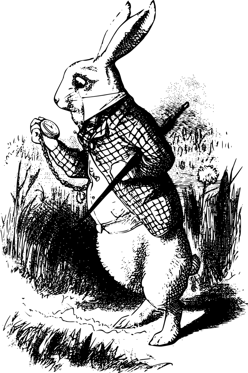 愛(ài)麗絲夢(mèng)游仙境電影下載，奇幻之旅的深入探尋與獨(dú)特體驗(yàn)